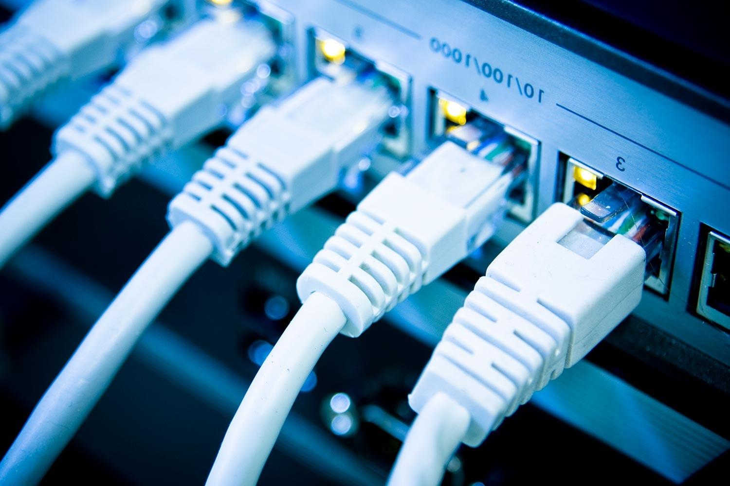 Close-up of white Ethernet cables plugged into a network switch
