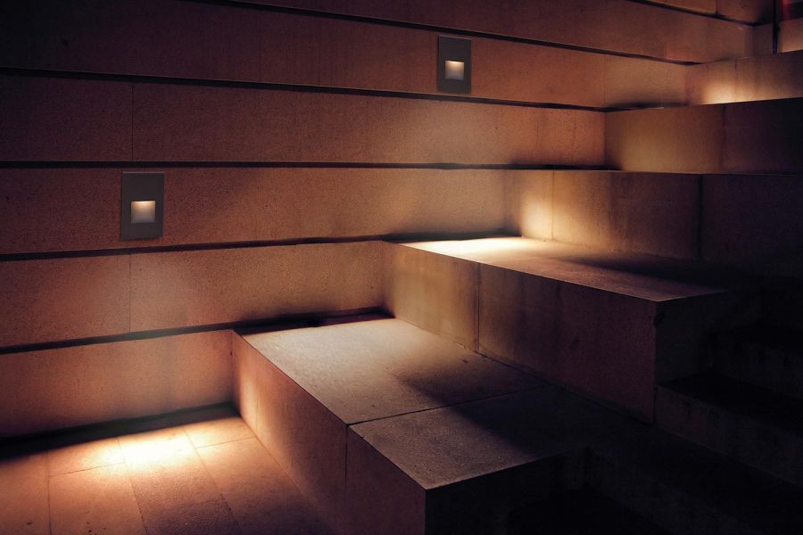 Line of tall trees lit dramatically from below with reflections on water