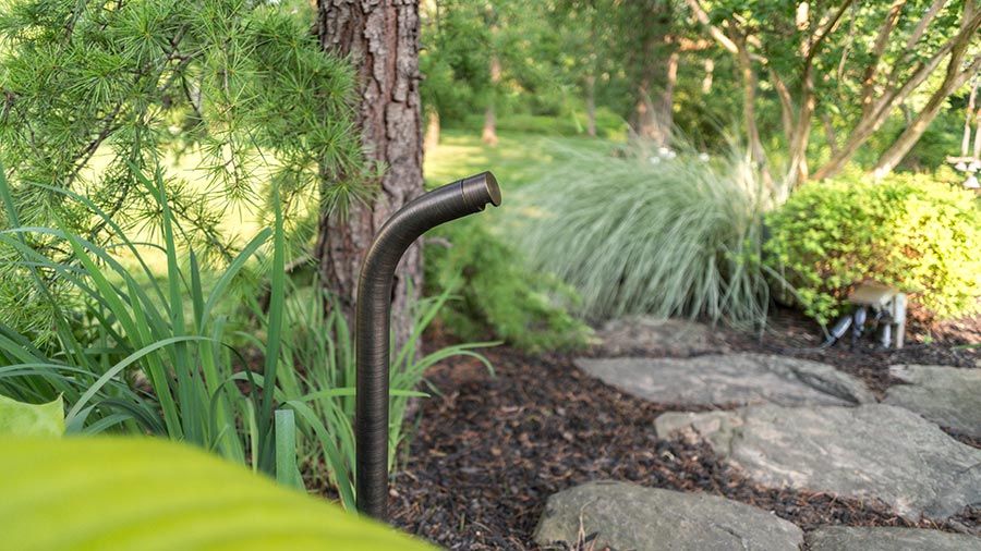 Outdoor landscape with lush greenery and a discreetly placed garden speaker.  