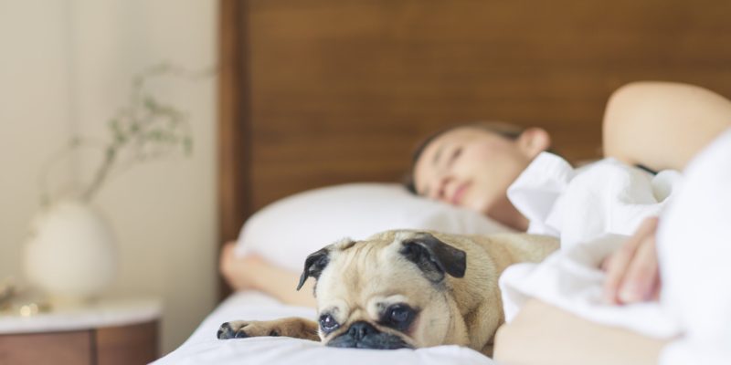 dog and lady sleeping on bed