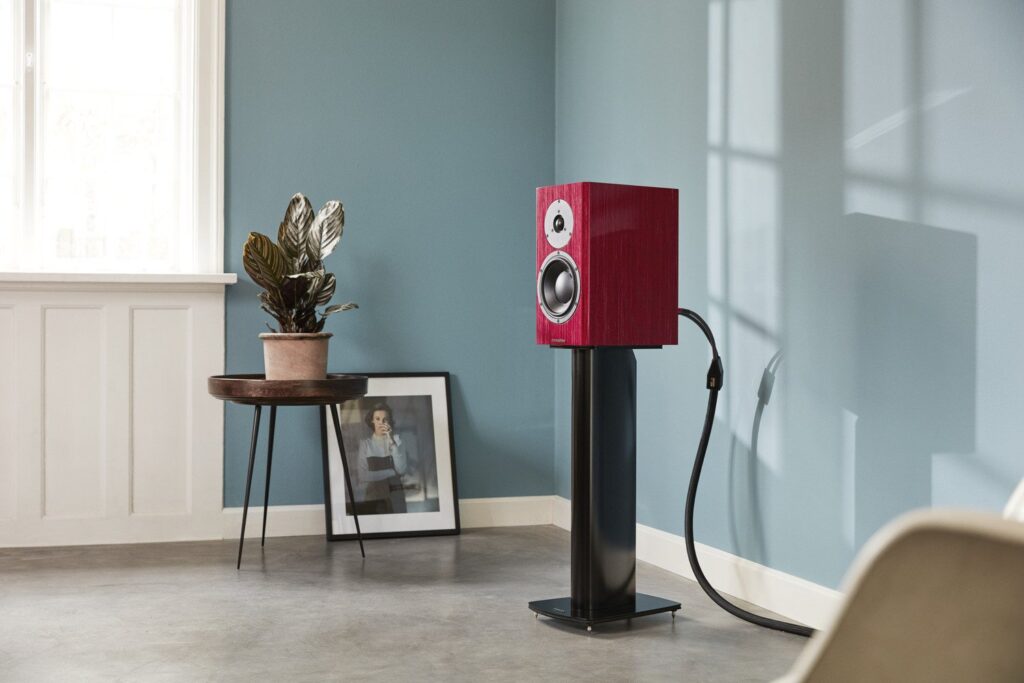 speakers in a empty of with a plot of plant